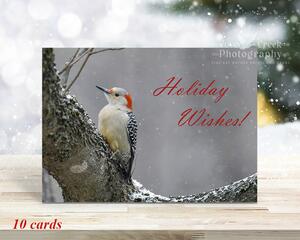 A nature aesthetic Christmas card with a woodpecker in the snow and the greeting, "Holiday Wishes!" available at Cove Creek Photography.